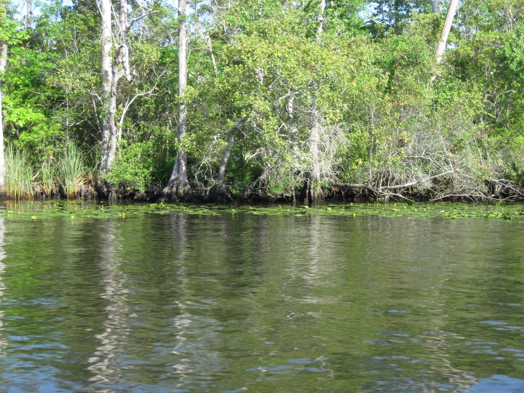 IMG_1797.jpg - Black Creek