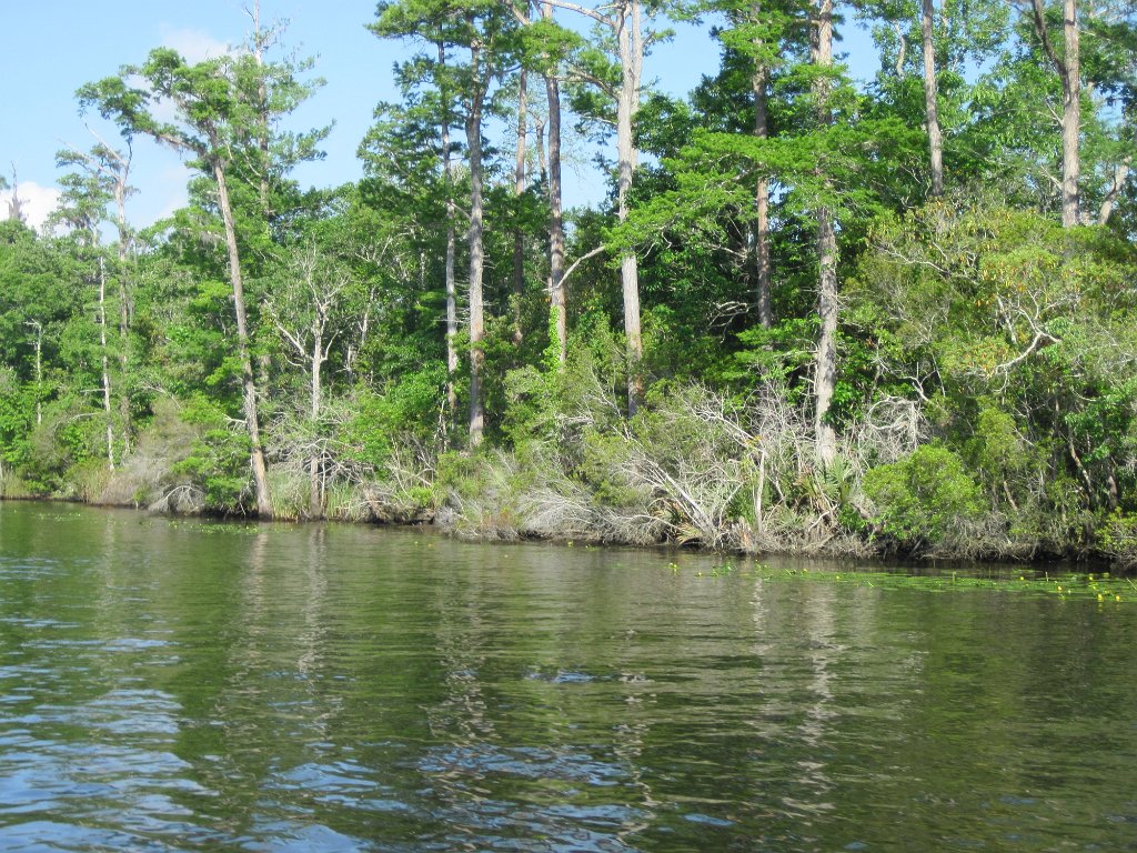 IMG_1798.jpg - Black Creek