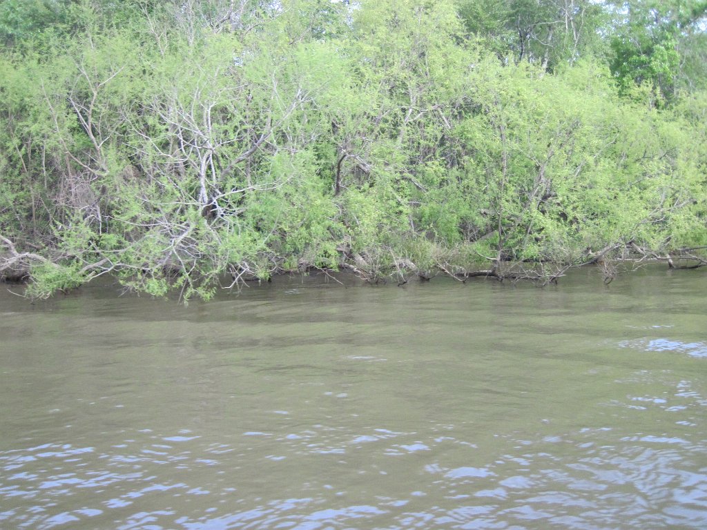 IMG_1833.jpg - River sights