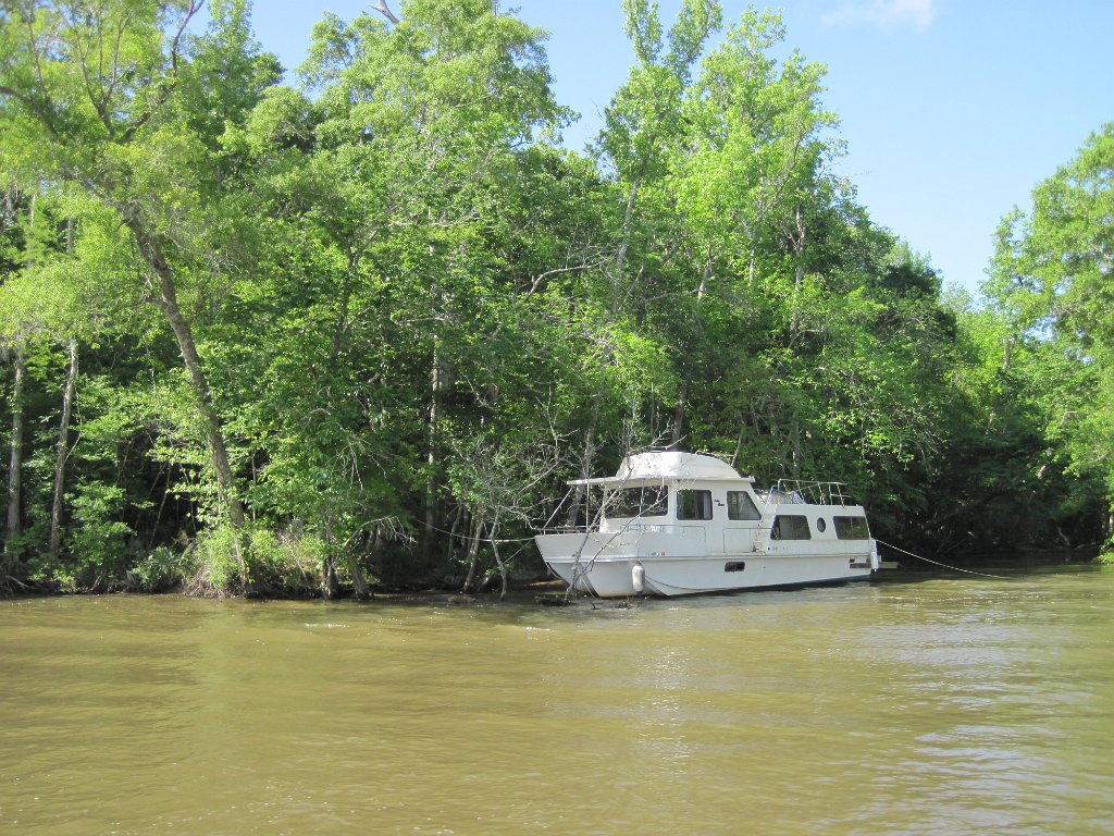 IMG_1838.jpg - River sights