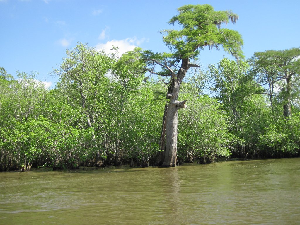 IMG_1843.jpg - River signts