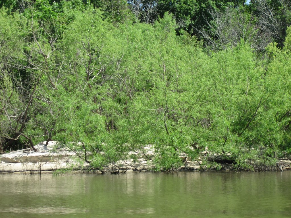 IMG_1856.jpg - River sights