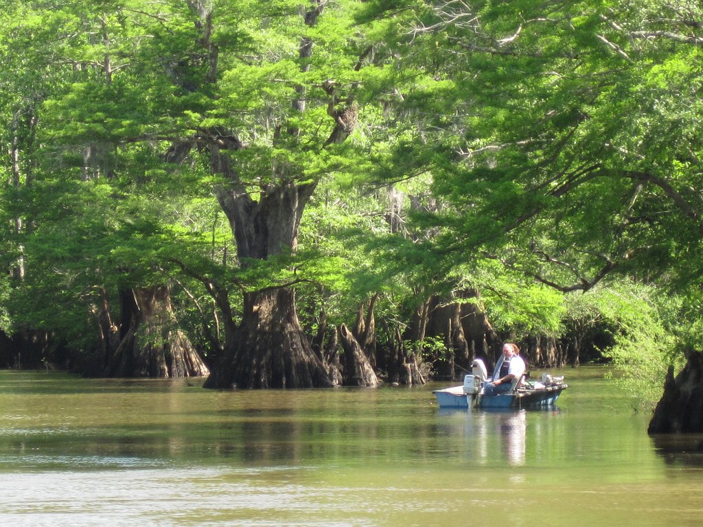 IMG_1865.jpg - River sights