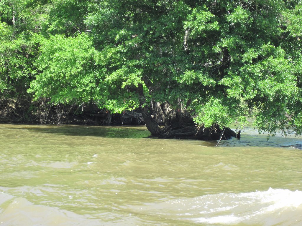 IMG_1875.jpg - River sights