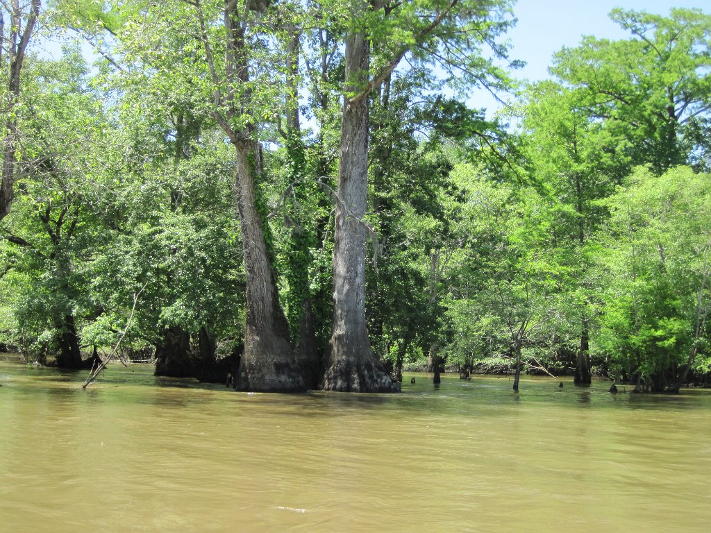 IMG_1884.jpg - River sights