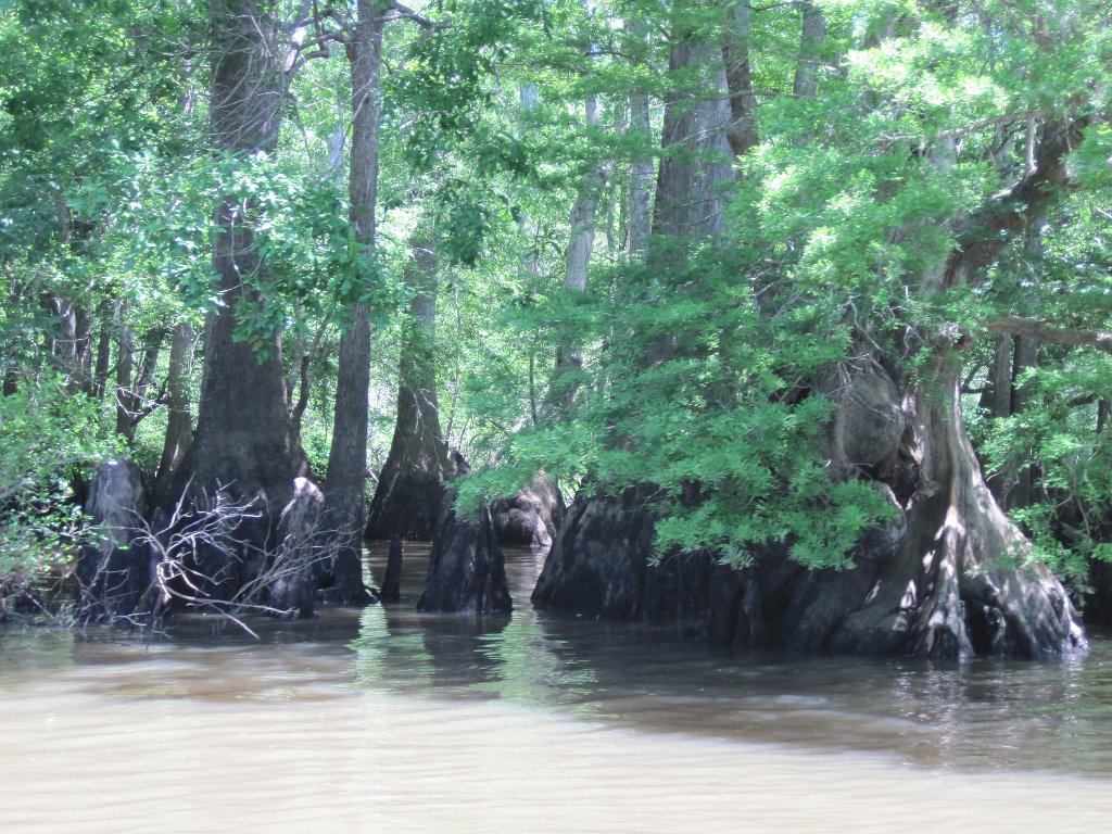 IMG_1886.jpg - Sights to Morrison Springs