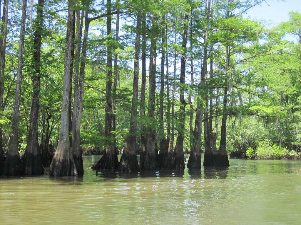 IMG_1887.jpg - Sights to Morrison Springs