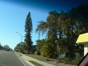 01-Sarasota_001