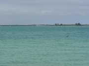 02-Sanibel-Captiva_008