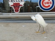 04-Sarasota_Motel-Marina_012012