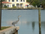 05-Holmes_Bch-Anna_Maria_Is_017