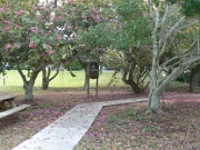 05-Holmes_Bch-Anna_Maria_Is_019