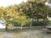 05-Holmes_Bch-Anna_Maria_Is_020