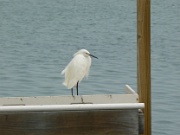 06-Bradenton_Bch_007