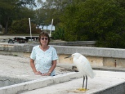 06-Bradenton_Bch_011