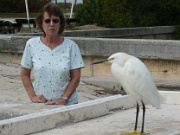 06-Bradenton_Bch_012