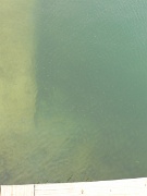 06-Bradenton_Bch_013