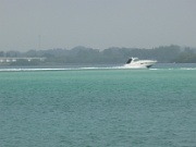 07-Longboat_Pass_015