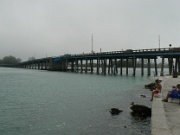 07-Longboat_Pass_018