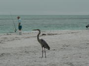 07-Longboat_Pass_020