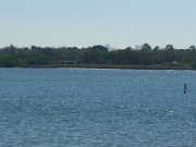 15-Emerson_Pt_Preserve_006